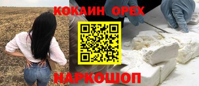 гидра Кохма