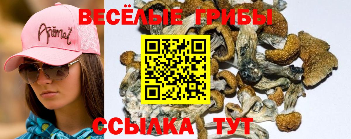 Россошь  Галлюциногенные грибы ЛСД  Галлюциногенные грибы GOLDEN TEACHER  Вход с VPN 